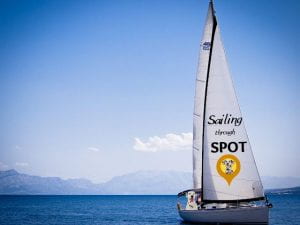 Dalmatian in boat sailing in ocean